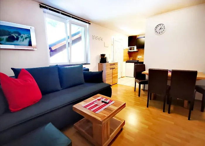 دي دي زيل أم سي